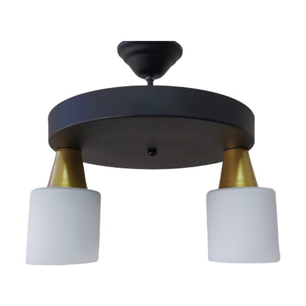 Mylight Modern Avize