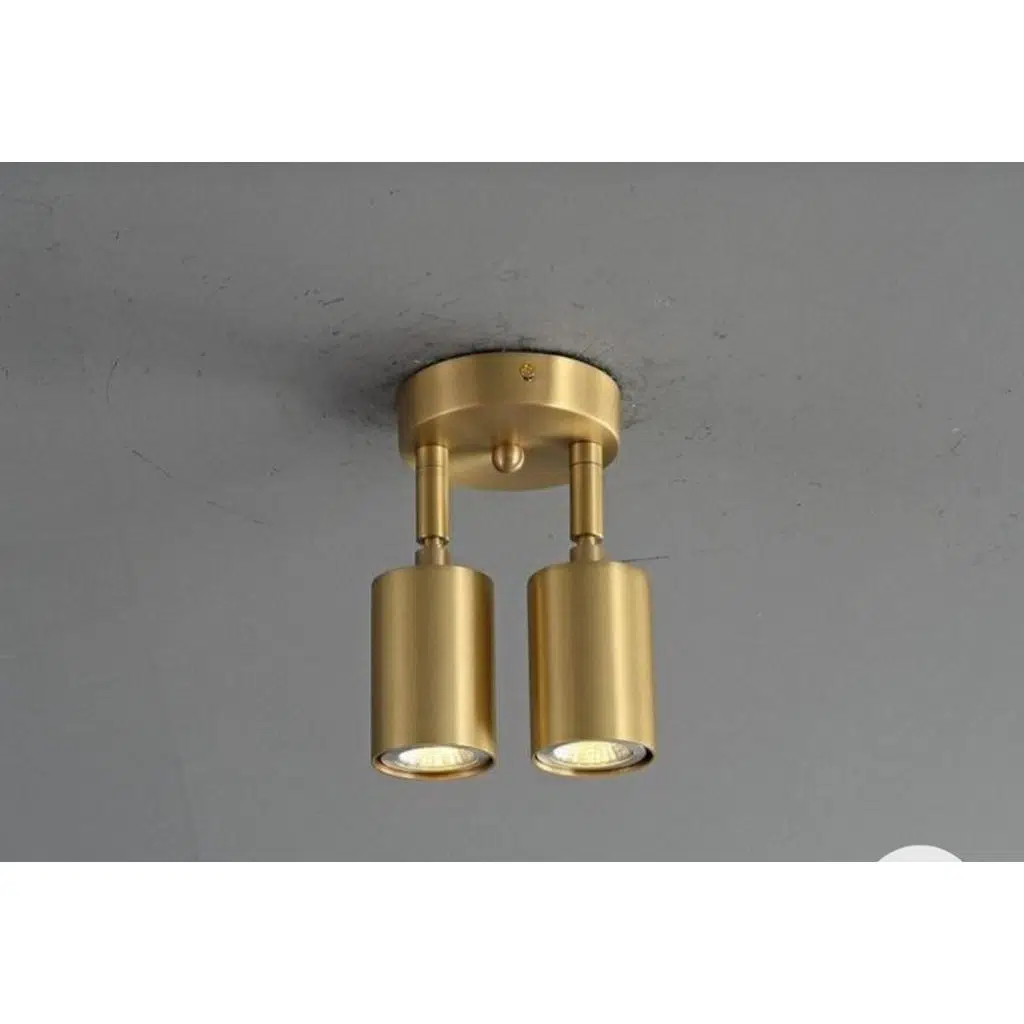 MYLİGHTS MAT ALTIN KAPLAMA LED AVİZE LED APLİK LED SPOT GÜN IŞIĞI AMPULLÜ HAREKETLİ 