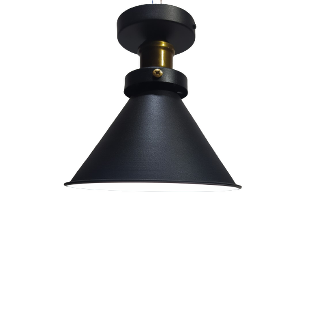 MYLİGHTS RETRO PLOONYER TAVAN RUSTİK AVİZE SİYAH İÇİ BEYAZ 18 CM EN